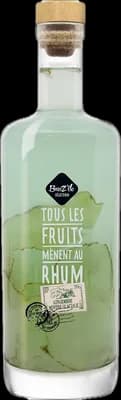 Bouteille de spiritueux : Breiz'île Sélection - Gingembre Menthe glaciale de la marque Breiz’île