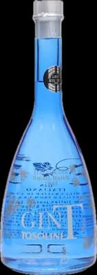Bouteille de spiritueux : Bepi  Gin T de la marque Tosolini