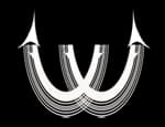 Logo de la marque de spiritueux : Whydah Rhum