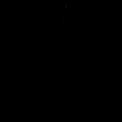 Logo de la marque de spiritueux : Nelson's Gin