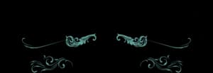 Logo de la marque de spiritueux : East Indies Gin